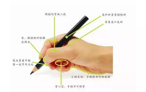 正確的握筆姿勢(shì)2