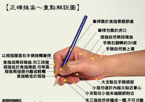鋒格練字