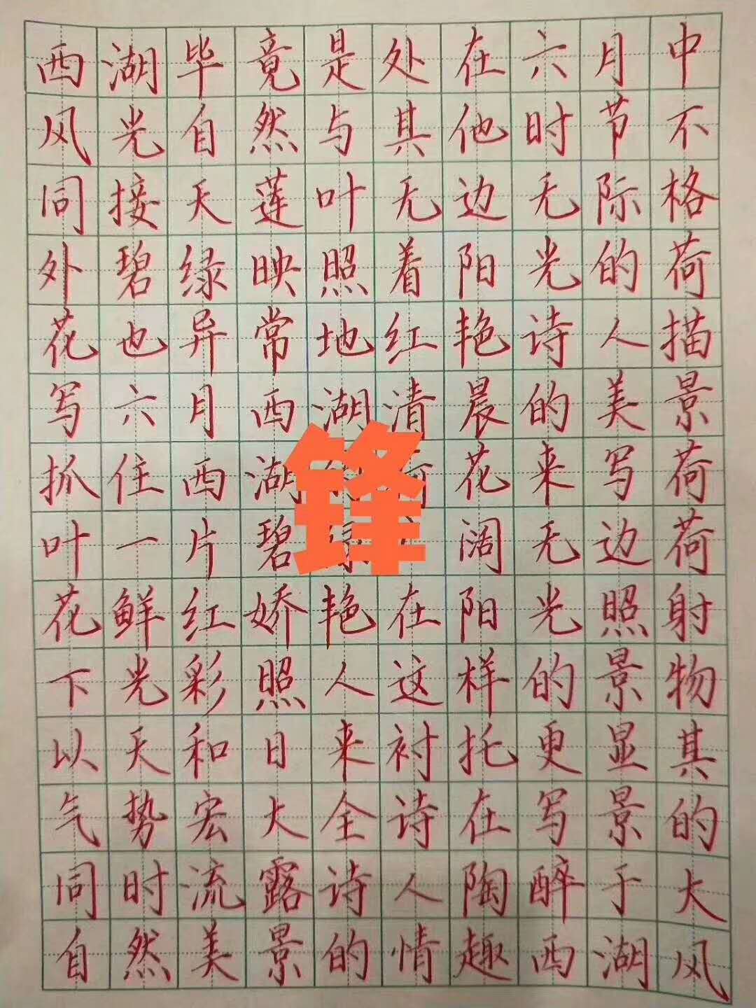 鋒格練字