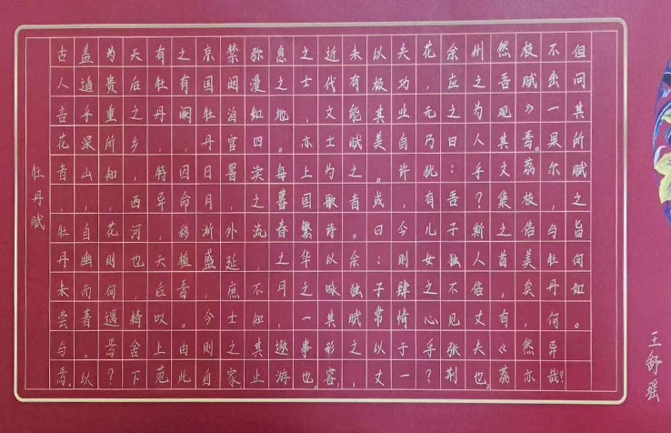 牡丹賦-鋒格學(xué)員舒瑤硬筆書法作品欣賞