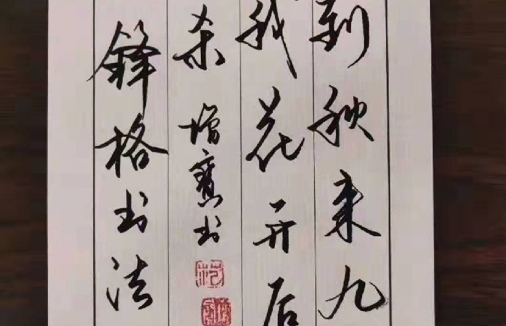 鋼筆行楷作品欣賞-老師作品
