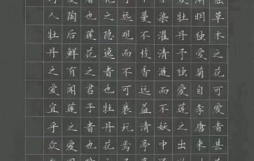 書法加盟-鋒格練字學(xué)員作品展示